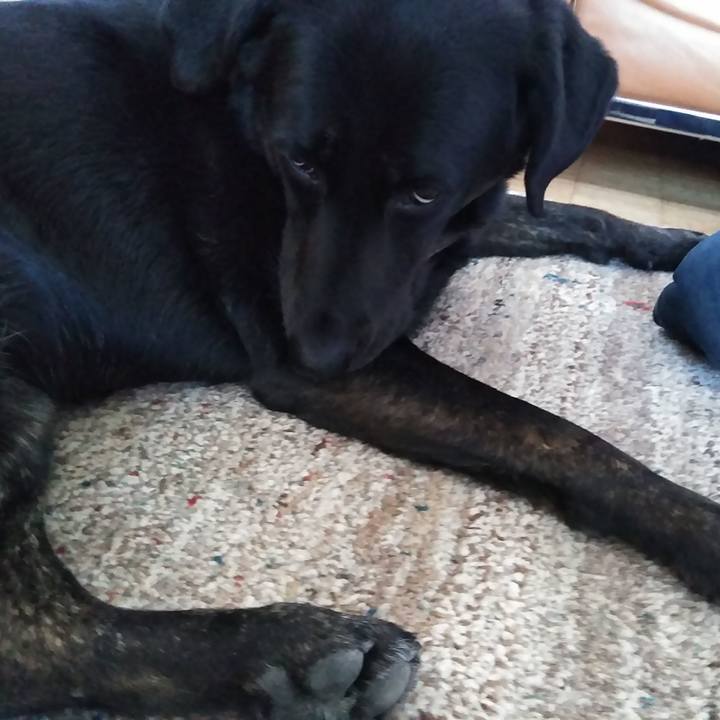 9b8937af 813f 49a1 b061 ecb30cdfb96a 1588839879871