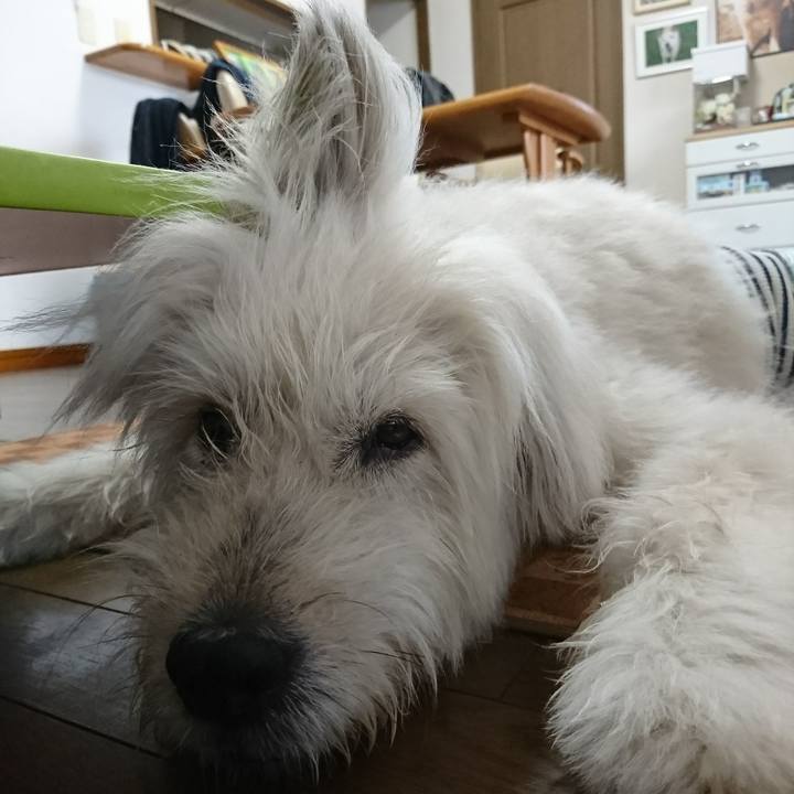 9b893c85 9b1d 4dd5 941e c71346358014 1599172084500