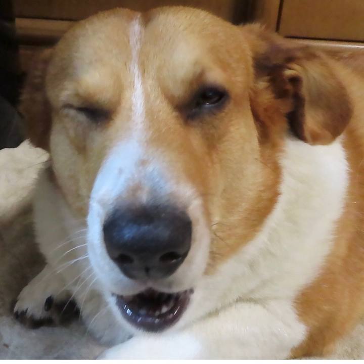 9b897d13 c5e8 4357 9918 a12ea4ad1034 1653000605085