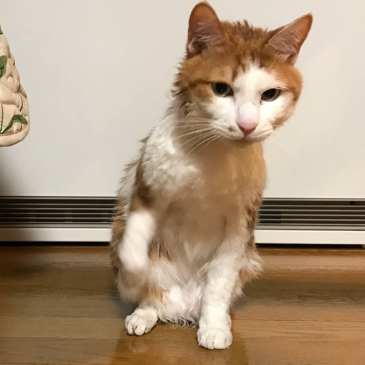 9b89a513 3dfb 4f18 9464 9bee6bca7b81 1529593370008