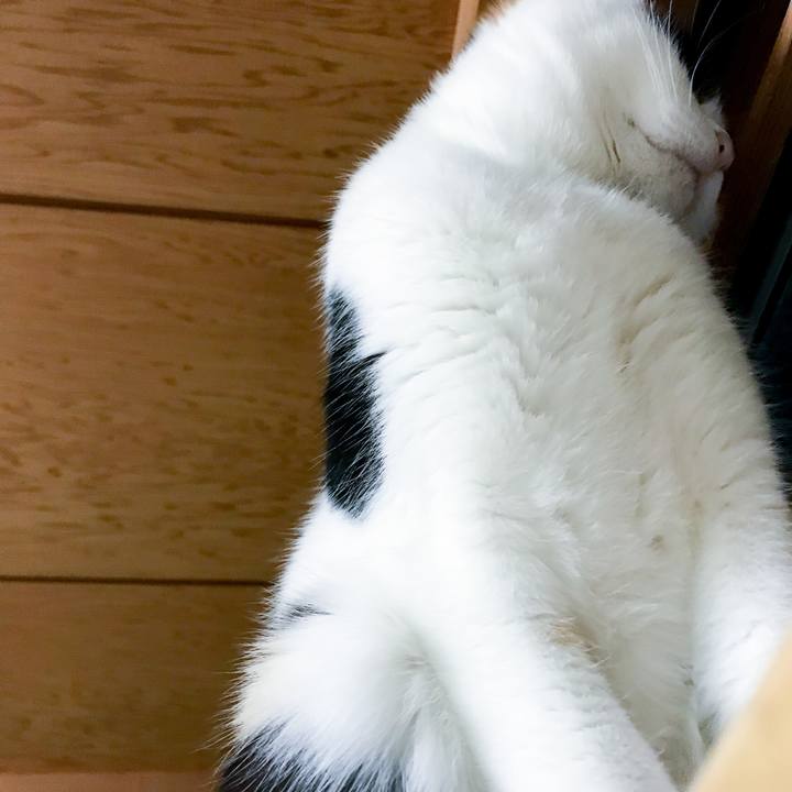 9b89ae0f 2d0a 45e0 aa08 4d46dd52ef9a 1515329364472