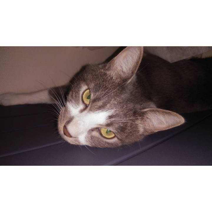 9b89f57e 4d64 4899 bd9f ea13518f46ea 1624951948757