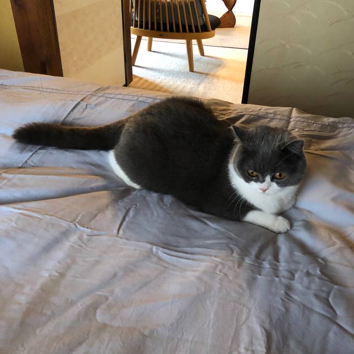 9b8a075c ca42 49b4 b901 75c3dd330053 1561251622938