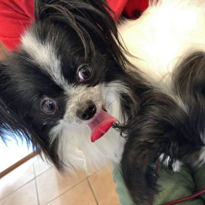 9b8a371c e851 45c5 a5ac 1f159349ba10 1529821058373