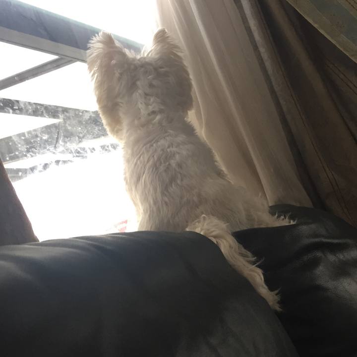 9b8acd6c 1d1b 49fb af31 5a2300b34803 1508389451496