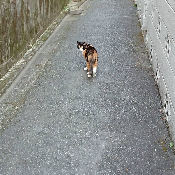 9b8adec5 1573 42d7 a476 a294280c742a 1659995788384