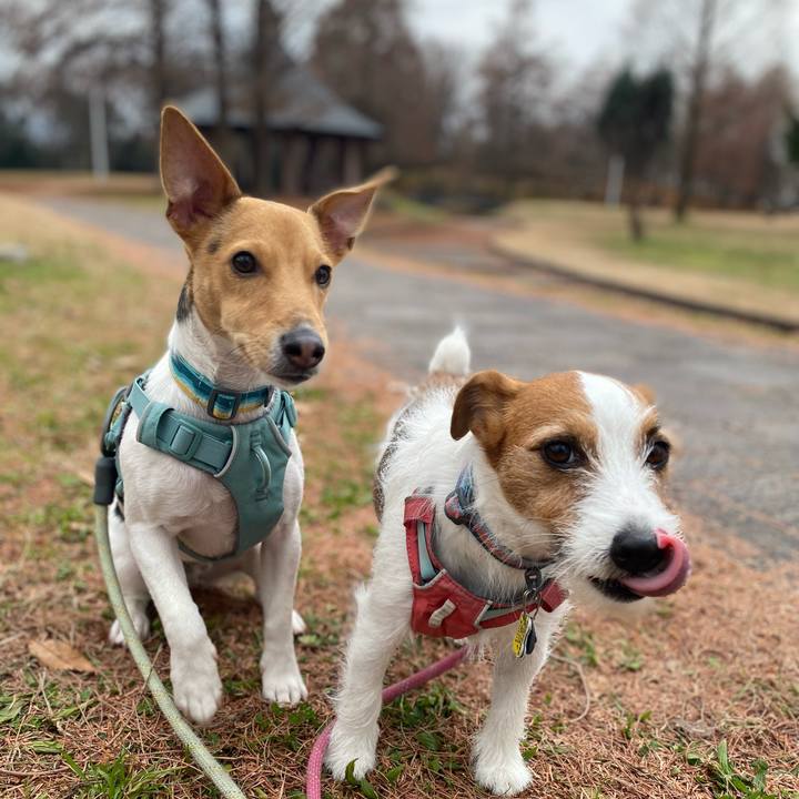 9b8afc70 6251 4041 b1bb 24a669b4fda3 1767072893333