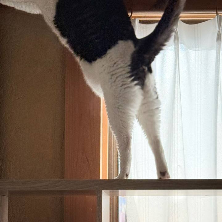 9b8b0714 3226 4a57 8ecc c36ee2a5009d 1768787604816