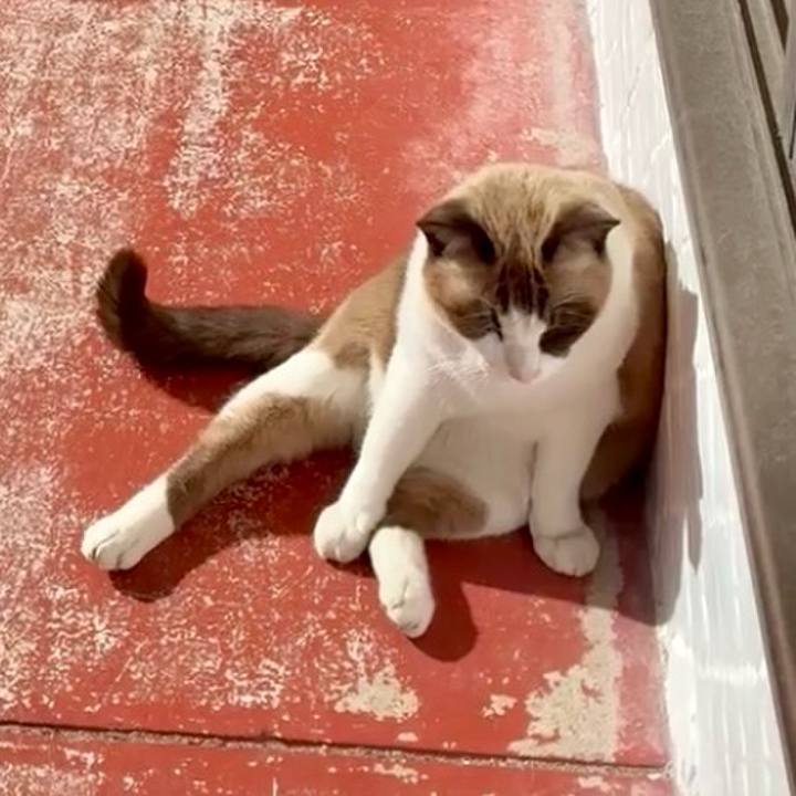 9b8b3436 6185 4657 94fe 9980617ddf1b 1764383865790