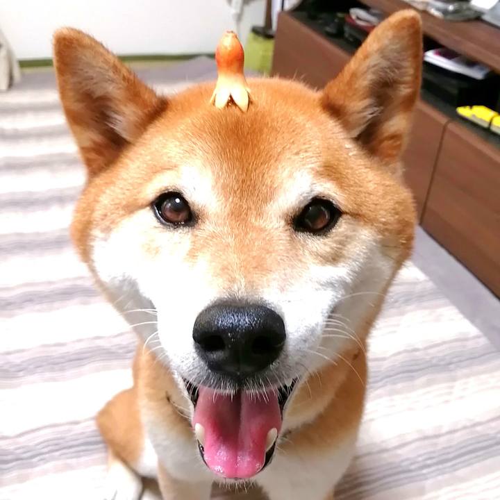 9b8b3e40 cb4b 49ae 8b16 d9057679cfd5 1656313843906