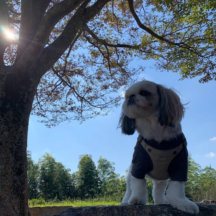 9b8b4bb3 7d1e 4460 9c32 5f10b3713728 1635941633206