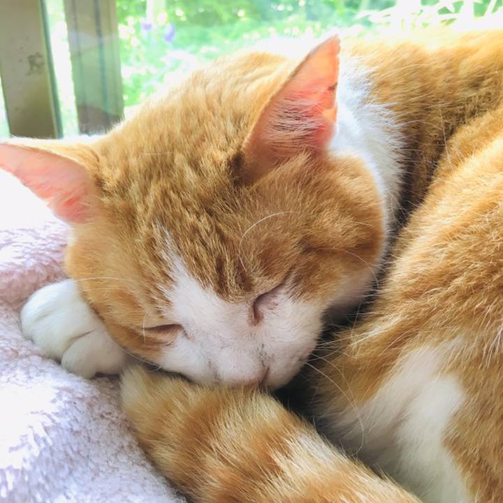 9b8b6be1 3d9f 410a 9c0d 3d0502d822c4 1559702810093