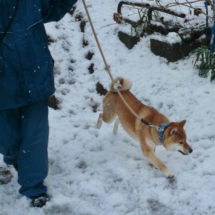 9b8b8229 7c87 4873 8ea0 e72936c3e81a 1610458149228