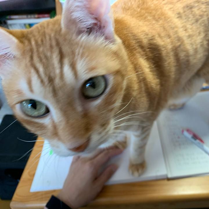 9b8bb9c4 f2c8 4bfa 8da2 5221145a141c 1572830631002