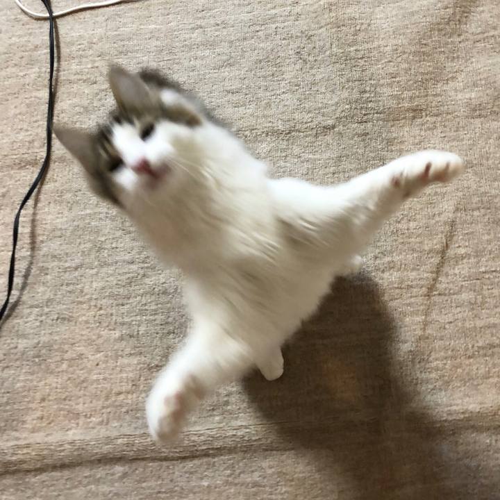 9b8bdad5 f5b4 4c3a ae12 d094560b4a60 1517569334123