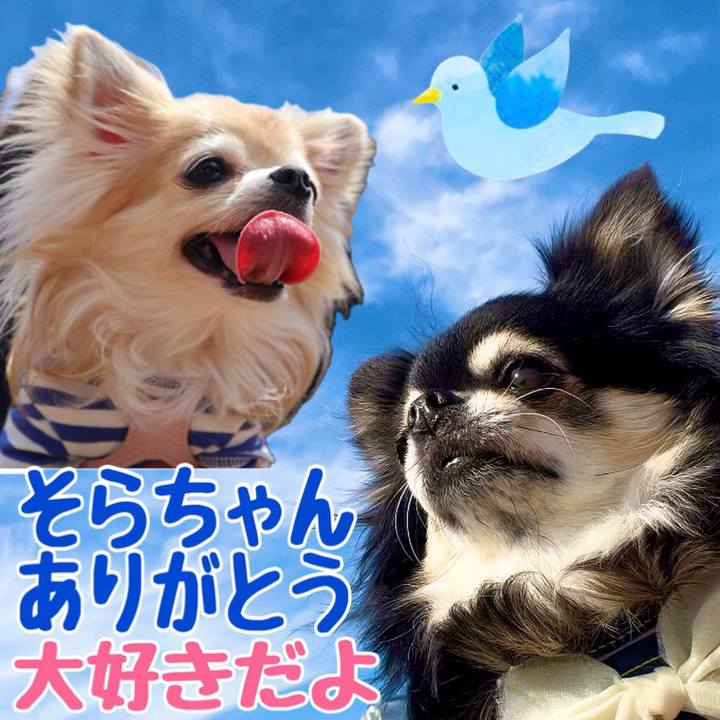 9b8be16b 6e3f 49e7 b0e4 bd1945c9d95e 1702604830805