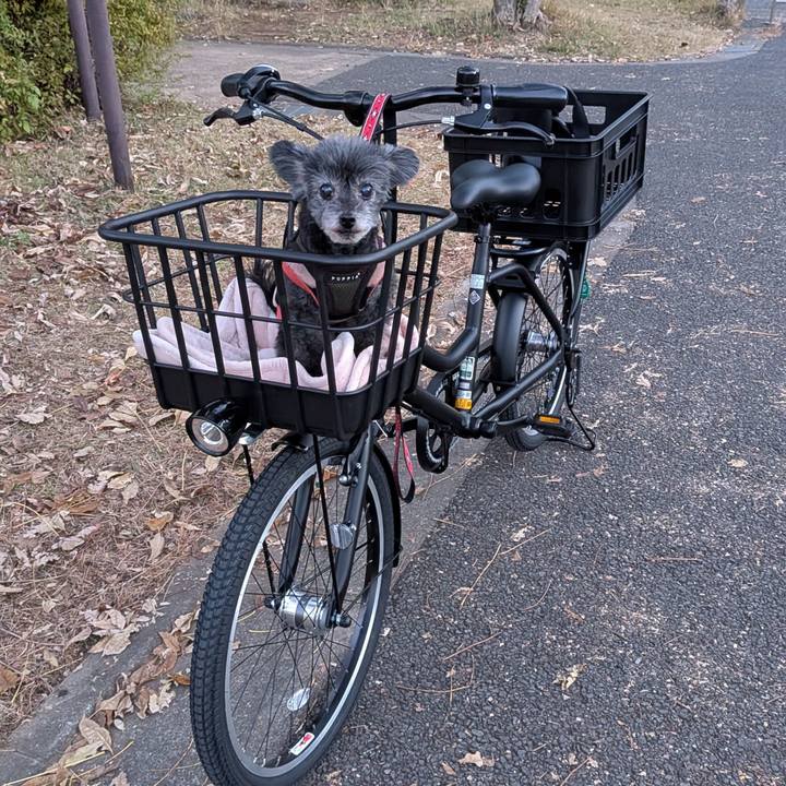 9b8bfbf7 b426 4895 8068 9c1c3535fc3d 1763798032109