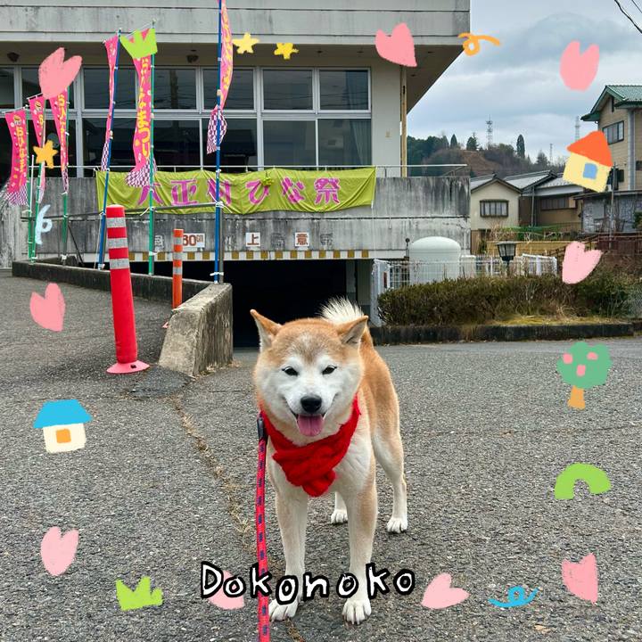 9b8c4b36 cafd 4031 9ac8 597499c8056d 1741263838174