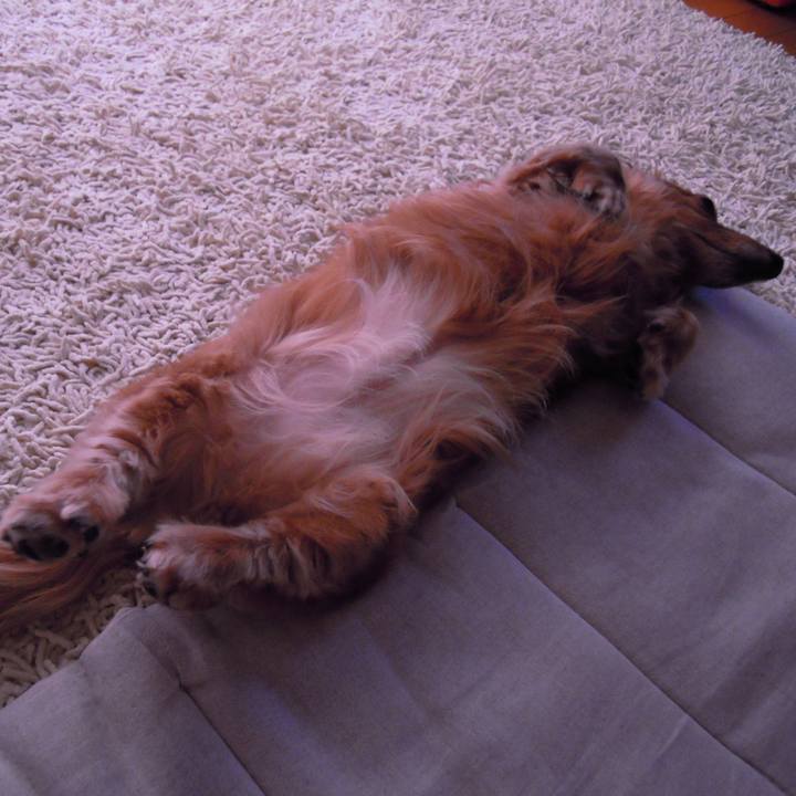 9b8c8ebb ce8f 4174 bd10 2cebd5b47b35 1551814656058