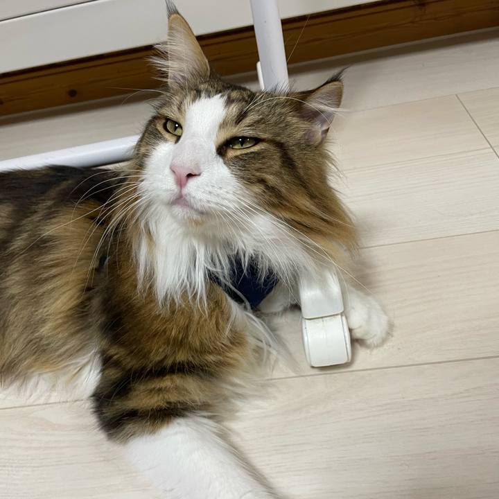 9b8ca386 2509 41c6 9783 07723a861dd2 1669986595144