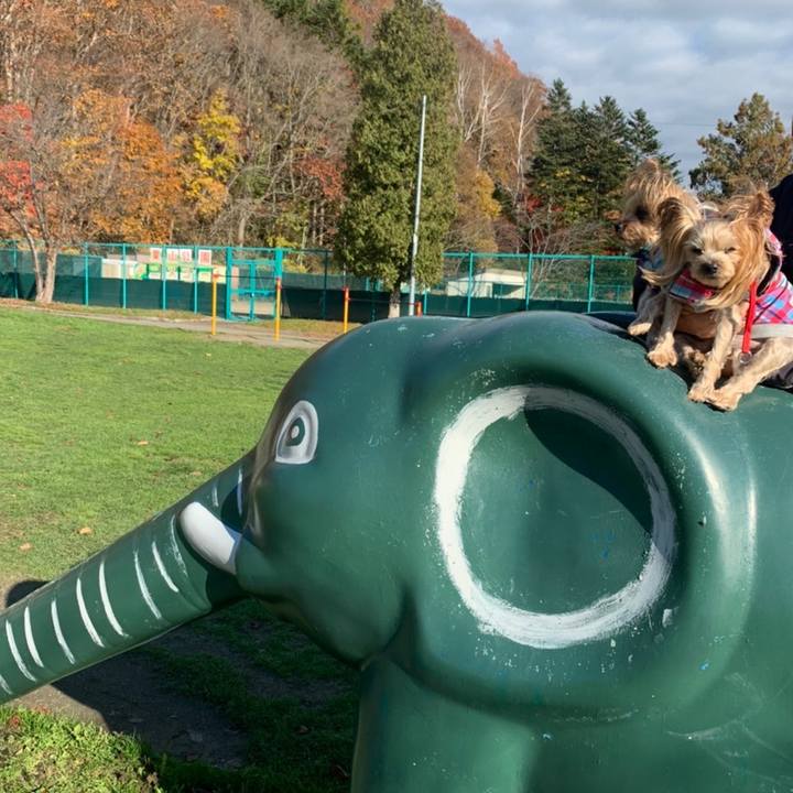 9b8ce170 6f7c 473e 8d42 8a70d1694f7a 1636448178897