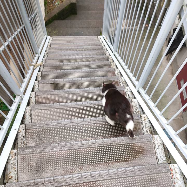 9b8ced8f c997 49fe 9cca 43975ffd1fe2 1629185198918