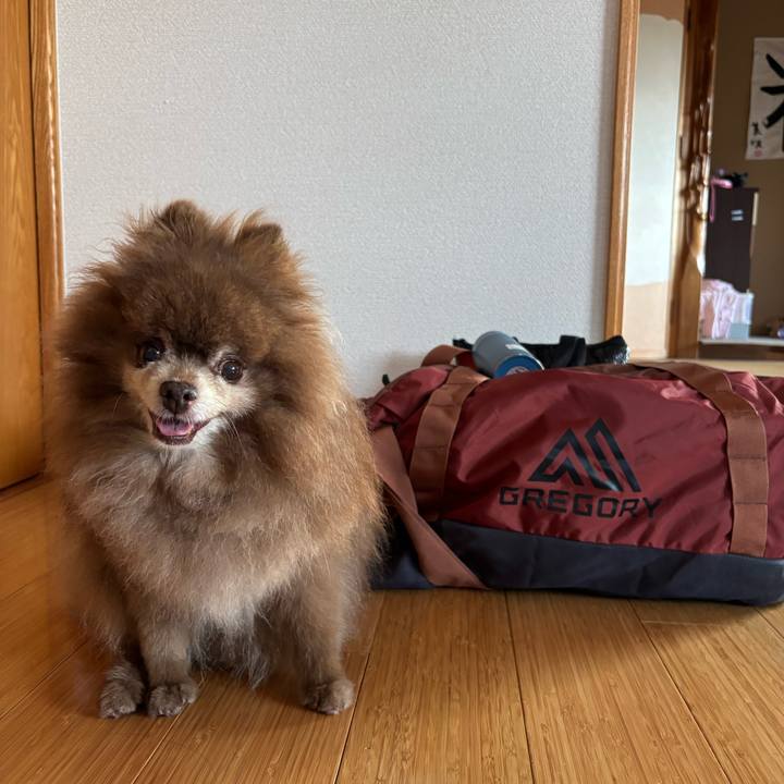 9b8d09aa 96db 408f 88c5 187f2d10d3af 1756938800900