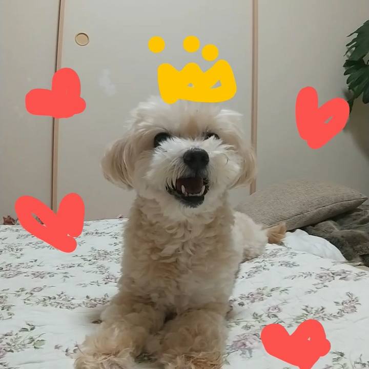 9b8d279f afce 4308 b0aa 03663bd8887d 1634156494504