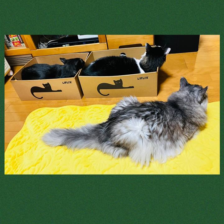 9b8d4958 3d35 4ab1 ab16 dde0ec4601a0 1748133445475