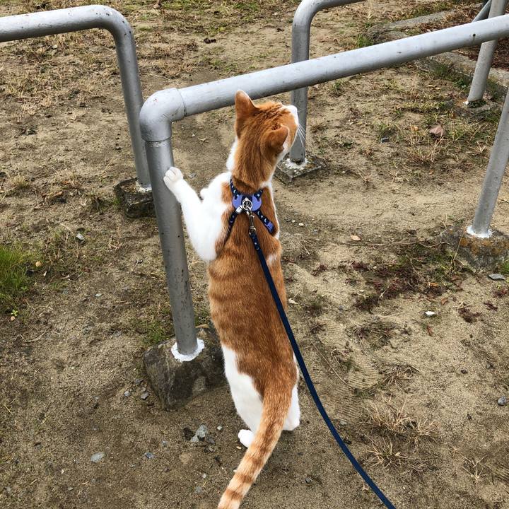 9b8d4fd8 279c 4516 95fb 8cf7f97114b9 1542694873032