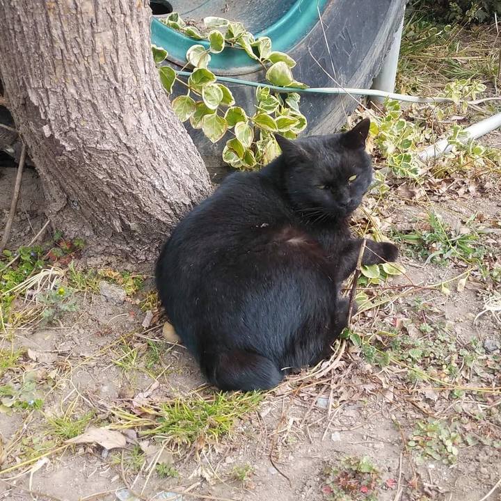 9b8d9096 2d39 4c8e b5a1 85e5745abd90 1646390470380