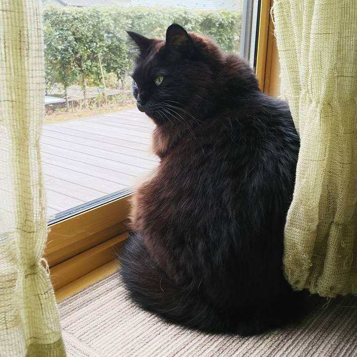 9b8e02aa e38f 4919 8ed5 d184cb940f06 1549680278054