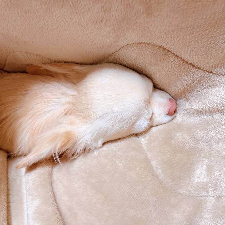 9b8e3b8a b798 4ae0 a5c3 23f492004bec 1675680105775