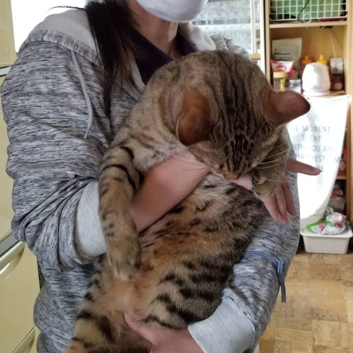 9b8e5ef6 64b7 4277 ba1c a801caf5751d 1655138165064