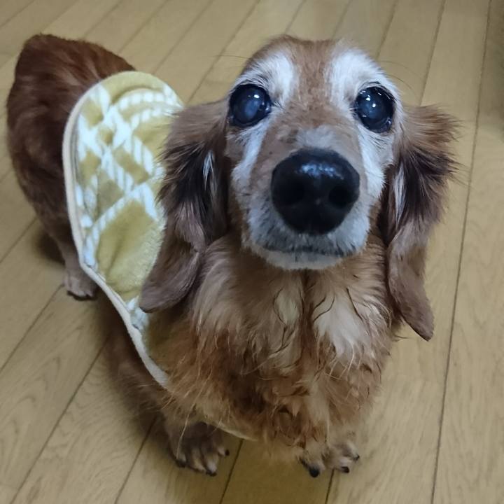 9b8e77ad bc7b 4fa6 a63c ea93b7a55fad 1515483638734