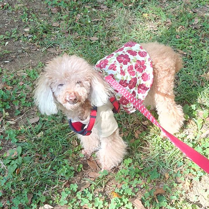 9b8e8b74 225f 49e7 9b5b 7089b947128b 1696656178915