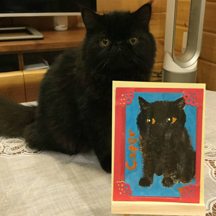 9b8e9f6b 05a7 4a85 9c56 d528f7d1e90f 1507978352260