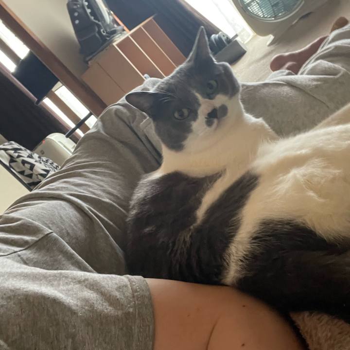 9b8ec110 ded4 4a23 955c f1e80075c43a 1746768619533