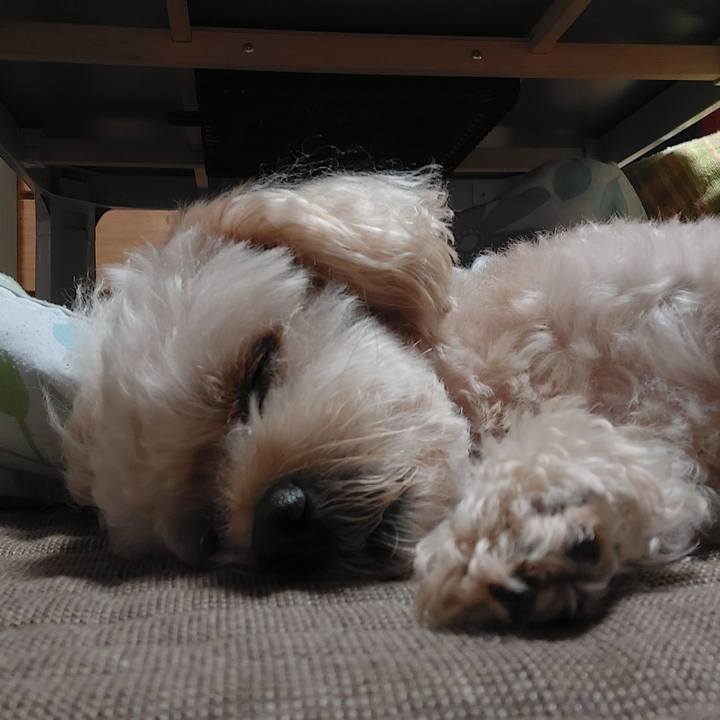 9b8f0041 7b5e 4b28 abbc d4301d70cb0a 1629613865484