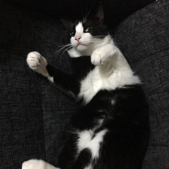 9b8f1500 bbe4 466a a5c8 f89d3cd87ddd 1509019514100