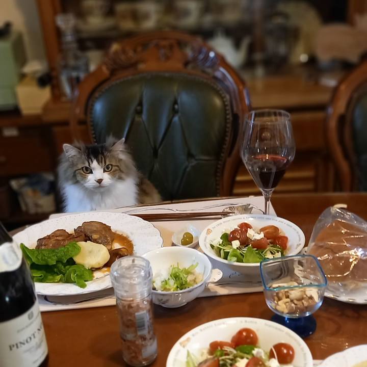 9b8f1ed3 147b 4add a46b dcc6d916afd5 1681640836643