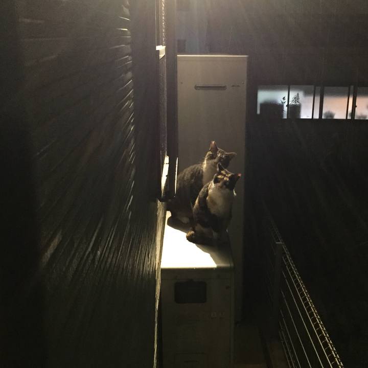 9b8f4065 98dd 4fb8 852f 76fce75717a3 1508174370368