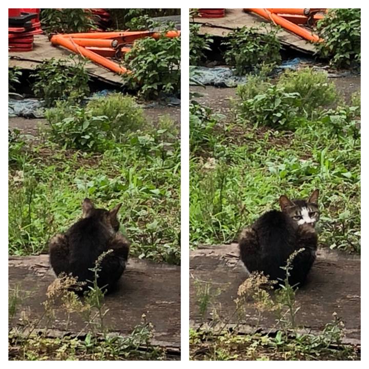 9b8f4e42 6381 4665 986d d9a5950def6d 1529318594419