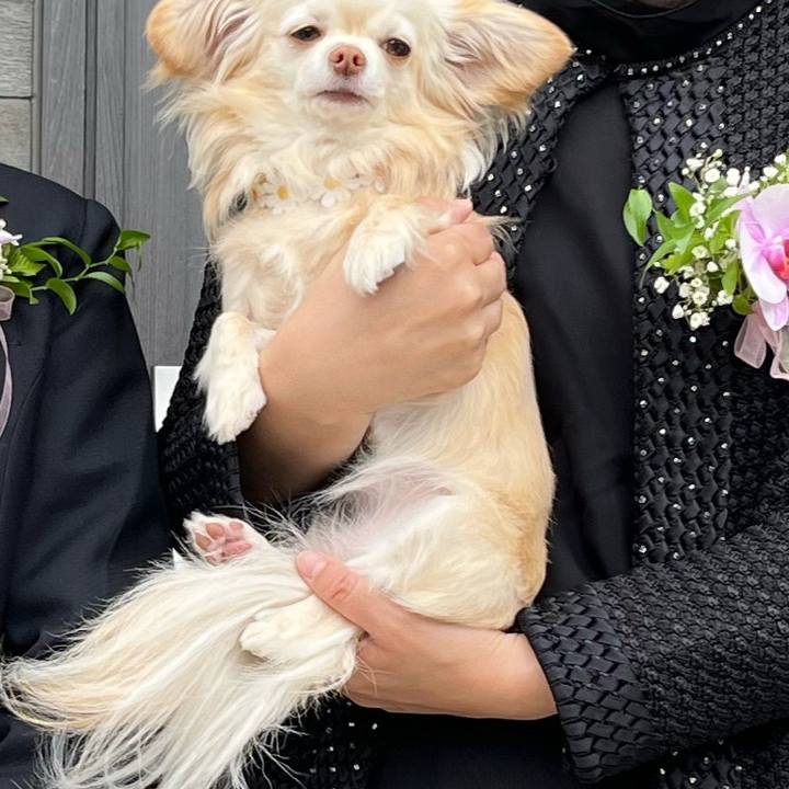 9b8f6bb2 dda8 4669 9992 a7a7c2a3731a 1712652014745