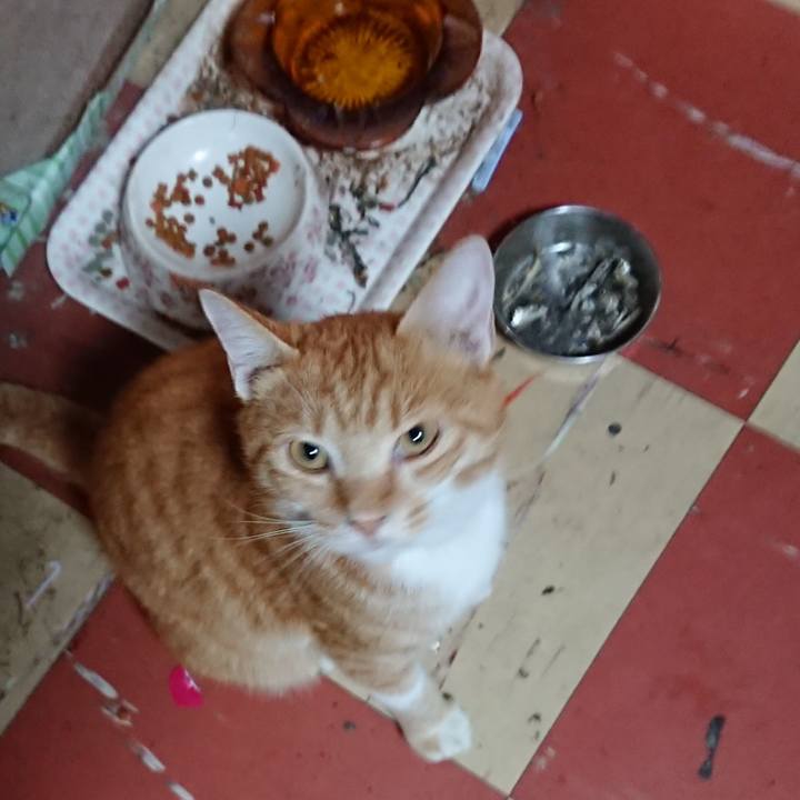 9b8f8bf0 0e36 49a9 bbda 22394ae375c4 1568941719280