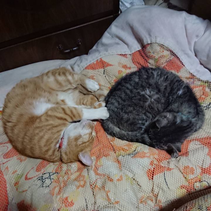 9b8fe5fb 0ad4 4819 b958 5edc4acc2fa4 1572616716658