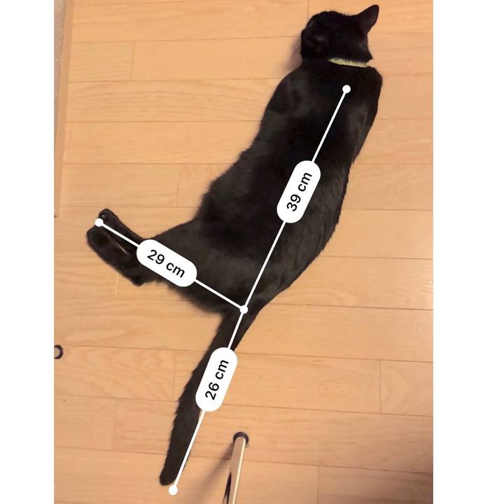 9b8fedb7 f6b5 453d 8c65 cbce1a1699f8 1539869195491