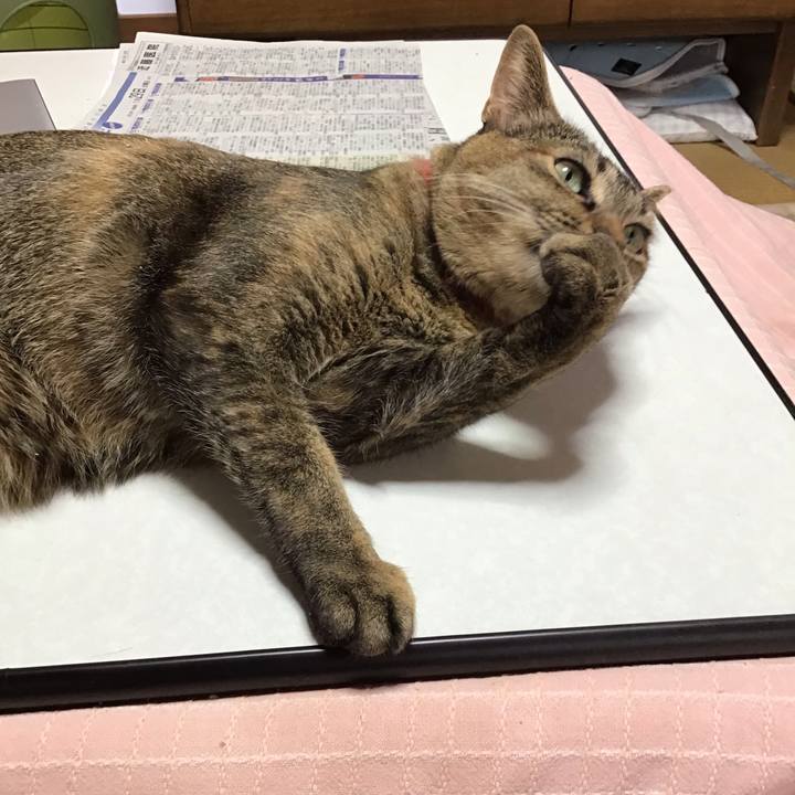 9b8fef5f ec8d 439c 8cd2 1652720ff664 1643413364611