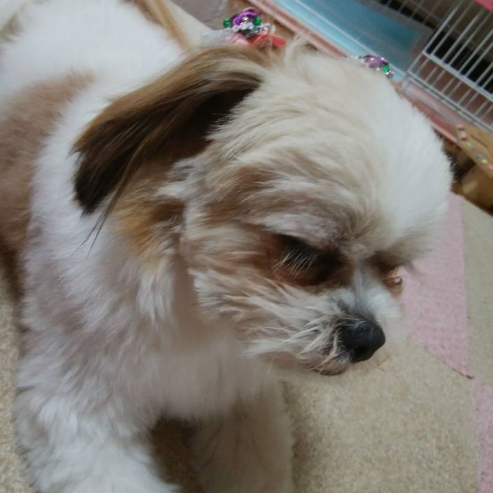 9b901223 537a 4cfd bfdd c4d41f74e62f 1521635464919