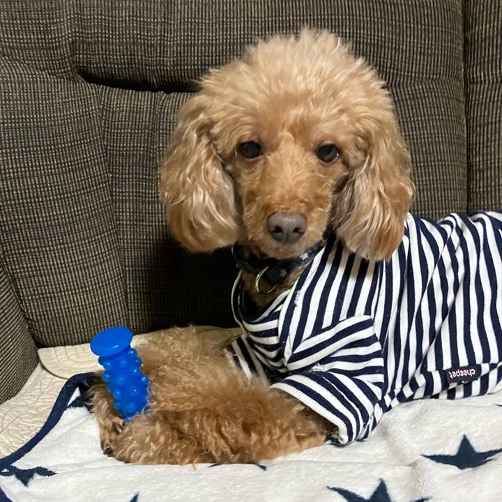 9b902610 5e62 4b8d 954d 127c2ca15873 1703063364523